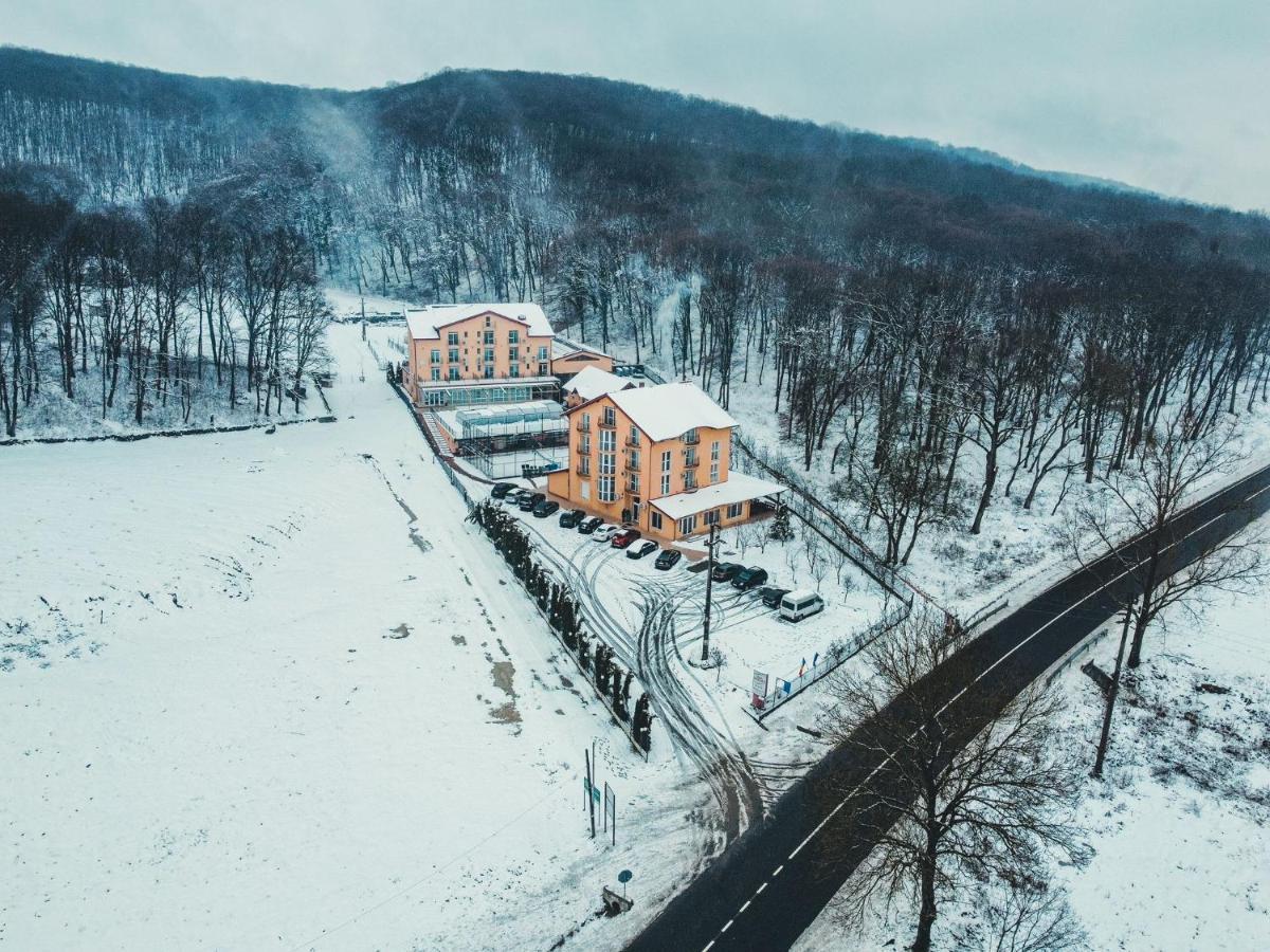 فندق Metropol Băile Felix المظهر الخارجي الصورة